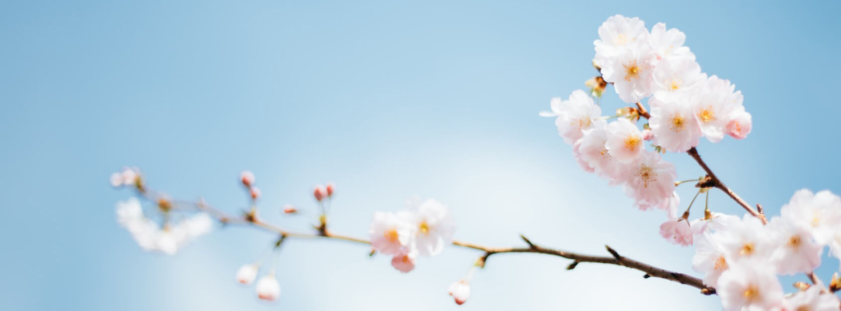 荣荌荌